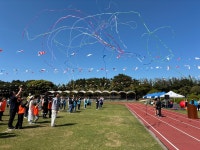 학교소식 > 유치원/초등학교 > 성읍초, 2025 ᄒᆞᆫ디 모영 다ᄀᆞ치 으라차차! 성읍 한마당 축제 개최 | 제주교육소식