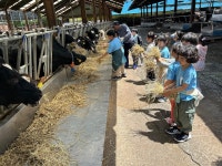 학교소식 > 유치원/초등학교 | 제주교육소식