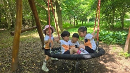 학교소식 > 전체 > 노형초등학교병설유치원, 5월 현장체험학습 실시  | 제주교육소식
