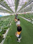 학교소식 > 유치원/초등학교 > 한림초등학교병설유치원, 5월 현장체험학습 실시 | 제주교육소식