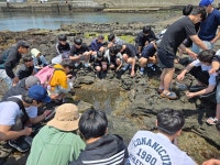 학교소식 > 유치원/초등학교 > 대기고, 제주 생태 자원의 보고인 조수 웅덩이 탐방 실시 | 제주교육소식