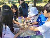 학교소식 > 유치원/초등학교 > 북촌초등학교, 제주생태환경 이해 위한 농장 체험 실시 | 제주교육소식