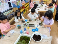 학교소식 > 유치원/초등학교 > 외도초등학교병설유치원, 생태환경교육주간 운영 | 제주교육소식