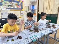 학교소식 > 특수학교 > 서귀포온성학교, 2025 생태환경 교육주간 실시 | 제주교육소식