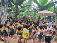 학교소식 > 유치원/초등학교 > 한림초등학교병설유치원, 바나나 농장에서 자연을 배우다. | 제주교육소식