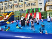 학교소식 > 유치원/초등학교 > 신광초등학교병설유치원, 친구와 함께 풍덩! 신광워터파크 실시 | 제주교육소식