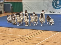 학교소식 > 전체 > 도평초, 제5회 제주시협회장배 액션치어리딩대회 참가 고학년부 1위, 저학년부 2위 수상 | 제주교육소식