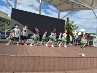 학교소식 > 유치원/초등학교 > 제주YMCA유치원, 산지천 축제 행사 참여 | 제주교육소식