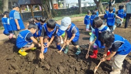 학교소식 > 유치원/초등학교 > 삼성초병설유치원,제주꾸새미 현장체험학습 | 제주교육소식
