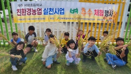 학교소식 > 유치원/초등학교 > 서광초, 친환경 벼 추수 체험 행사 실시 | 제주교육소식