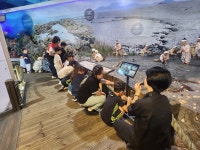 학교소식 > 전체 > 태흥초, 1~2학년 제주해양동물박물관 현장체험 실시 | 제주교육소식