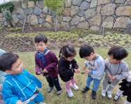 학교소식 > 전체 > 해안초등학교병설유치원, 방과후 놀이배움터 자연생태놀이 실시 | 제주교육소식