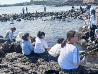 학교소식 > 유치원/초등학교 > 흥산초, 교육3주체가 함께하는 고망낚시 체험 | 제주교육소식