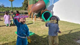 학교소식 > 전체 > 해안초등학교병설유치원, 호기심 팡! 팡 ! 과학놀이 한마당 실시 | 제주교육소식