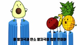 기후환경･생태전환교육 > 교육자료 > (환경과 생태 쫌 아는 10대) 아보카도와 로컬푸드 밥상의 지도 | 제주이해교육