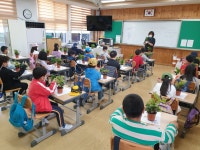 기후환경･생태전환교육 > 교육자료 > 물메초, 공기정화식물화분 만들기 체험 | 제주이해교육