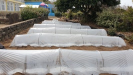 자료실 > 우수사례공유 > 저청초, 식목일 맞이 학부모 재능기부로 작은 텃밭 만들어 | 학부모지원센터