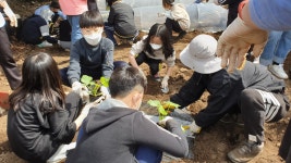 자료실 > 우수사례공유 > 저청초, 식목일 맞이 학부모 재능기부로 작은 텃밭 만들어 | 학부모지원센터