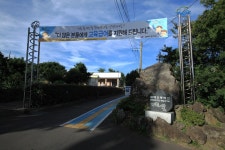 부가서비스 > 아름다운 우리학교 > 물메초등학교 | 제주시교육지원청