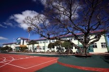 부가서비스 > 아름다운 우리학교 > 신촌초등학교 | 제주시교육지원청