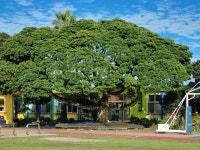 부가서비스 > 아름다운 우리학교 > 선흘초등학교 | 제주시교육지원청