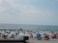 해안경비단 소식 | 제주해안경비단