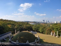 서오릉, 서삼릉 견학 | 포토앨범 | 커뮤니티 : 환경조경학전공