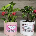 2020년 2학기 심리지원 프로그램 '꽃과 함께 찾아가는 치유여행' | 포토갤러리 | 게시판 : 학생상담센터