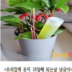 2020년 2학기 심리지원 프로그램 &#39;꽃과 함께 찾아가는 치유여행&#39; | 포토갤러리 | 게시판 : 학생상담센터