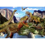 			조이하비 조이하비