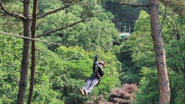 좌구산 줄타기 < 좌구산휴양랜드 체험시설 < 천문대 소개 < 좌구산천문대