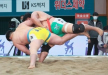 증평인삼씨름대회 < 축제/행사 < 문화관광