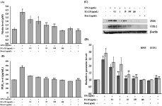 ECa 233 Suppresses LPS-Induced Proinflammatory Responses in... ECa 233 Suppresses LPS-Induced Proinflammatory Responses in... 