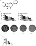 Oroxylin A Exerts Its Antitumor Effects in Human Gallbladder... Oroxylin A Exerts Its Antitumor Effects in Human Gallbladder... 