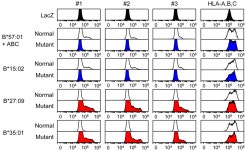 Detection of Abacavir-Induced Structural Alterations in Human Leukocyte Antigen-B*57 : 01 Using Phage Display
