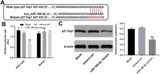 Overexpressed Hsa_circ_0001326 Contributes to the Decreased Cell Viability in SWAN71 Cells by Regulating MiR-186-5p/p27 Kip1 Axis