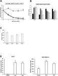 and Vinblastine Increase Plasminogen Activator Inhibitor-1 Production in Human Breast Cancer MCF-7 Cells but Not MDA-MB-231 Cells