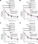 SEL1L-dependent Substrates Require Derlin2/3 and Herp1/2 for Endoplasmic Reticulum-associated Degradation