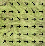 Detection of rice lodging directions using deep learning with UAV images