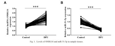 LncRNA SNHG16 Knockdown Promotes Diabetic Foot Ulcer Wound Healing via Sponging MiR-31-5p