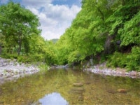 펜션 / 경기 양평군 - 점포라인