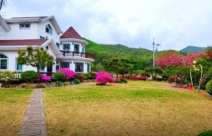 펜션 / 강원도 - 점포라인