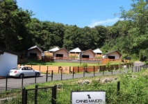 펜션 / 강원도 - 점포라인