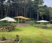 카페 / 경기 평택시 - 점포라인