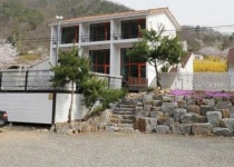 펜션 / 강원도 - 점포라인