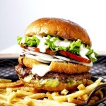 패스트푸드 / 서울 서울 강서구 - 점포라인