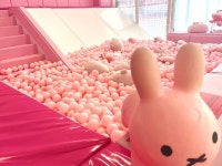 기타서비스업 / 충청 충청남 도 - 점포라인