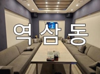 노래주점 / 서울 서울 강남구 - 점포라인