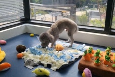 기타서비스업 / 경기 수원시 - 점포라인