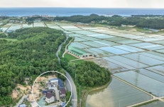 펜션 / 강원도 - 점포라인